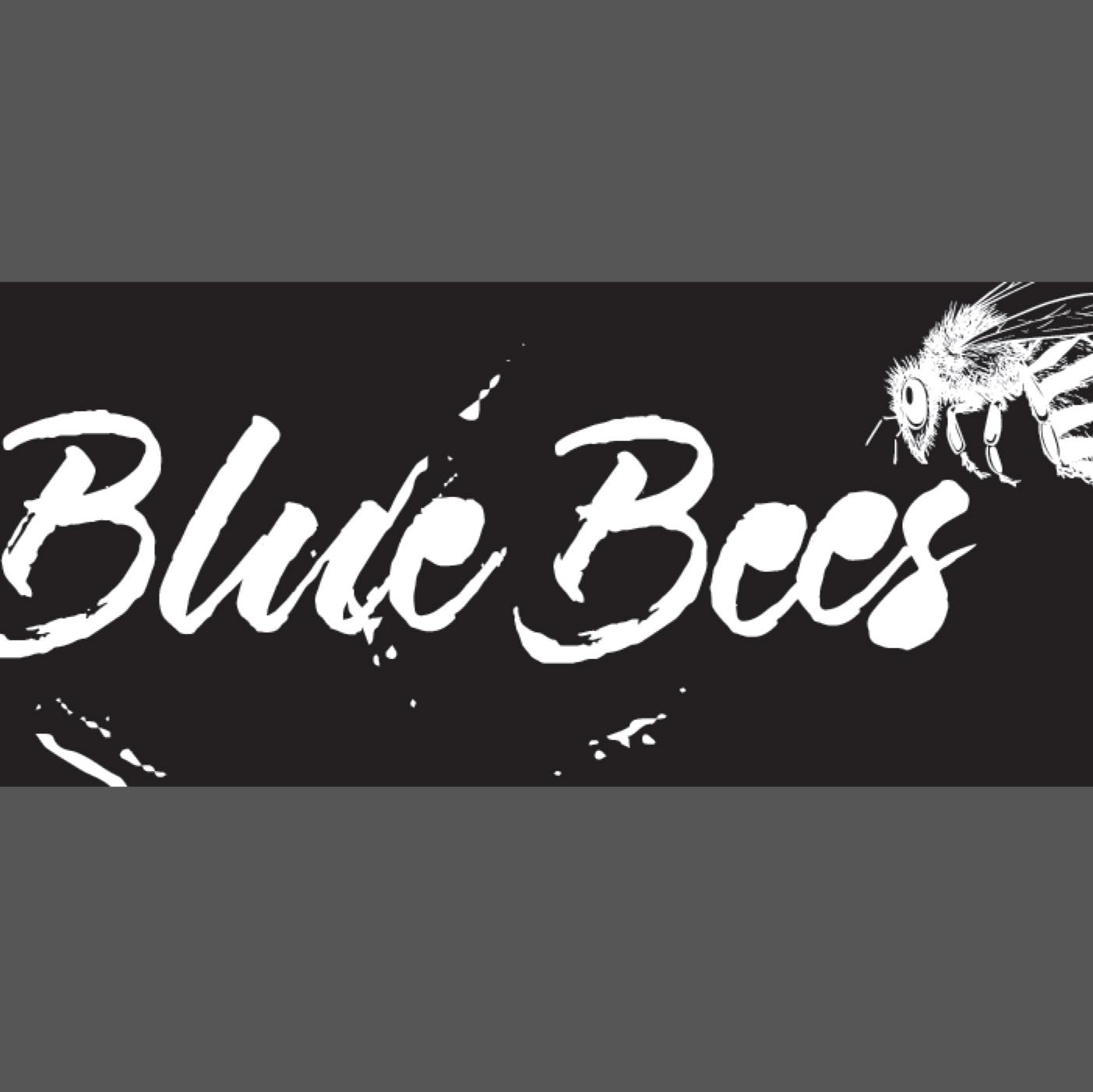 Blue Bees (Espen Farstad m.band)